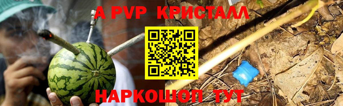 Alfa_PVP СК КРИС Обнинск