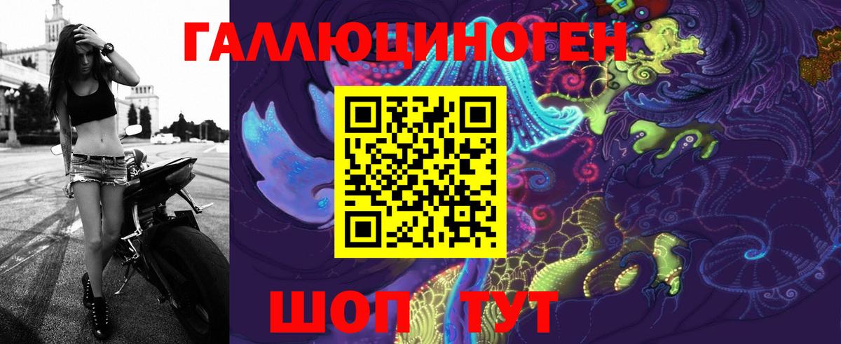 Обнинск  Галлюциногенные грибы Psilocybine cubensis  Вход с VPN 